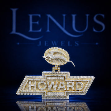 Custom HOWARD Iced Out Moissanite Pendant – 925 Sterling Silver VVS Two Tone Gold Hip Hop Nameplate with Logo Bail